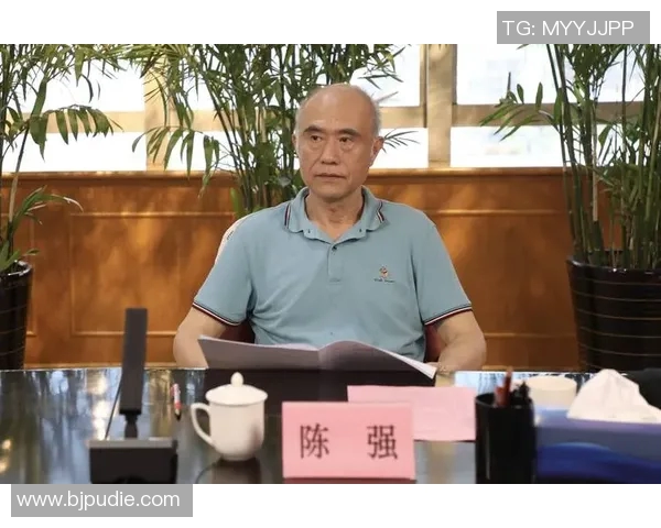 深度对话:探索陈强在篮球世界中的奋斗与成长之路