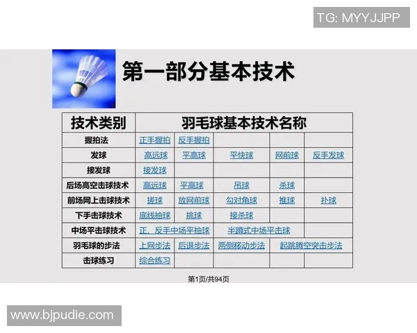 西安羽毛球队的战术分析与比赛表现的得失评估