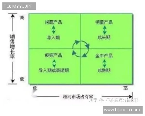 广州篮球队在大师赛中的团队协作表现分析与启示