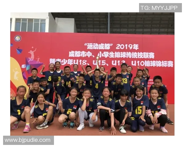 成都排球队实力深度解析及对比分析报告 成都排球队实力深度解析及对比分析报告