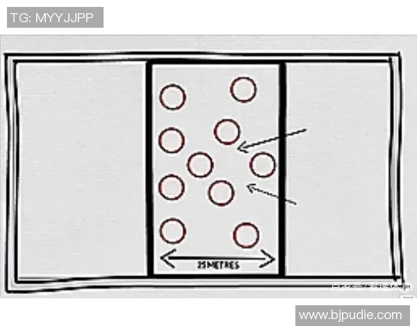 重庆排球队区域防守策略解析与战术创新探讨