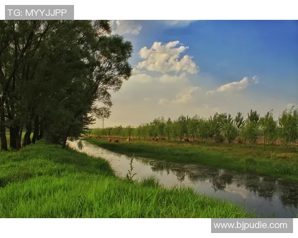 探索阿拉巴的魅力与文化深度，感受这片土地的独特风情与历史韵味